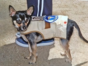 First days at work Doce uniform