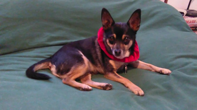 Henry Christmas 2016